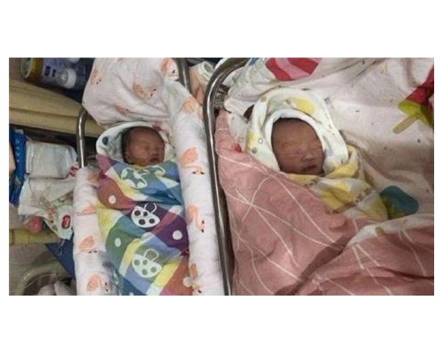 都说上海供卵无骗局，为何她46岁能成功试管供卵龙凤胎？