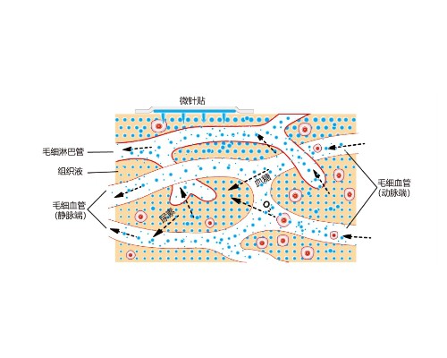 给药途径再获突破，青澜生物开启皮肤美学新模式