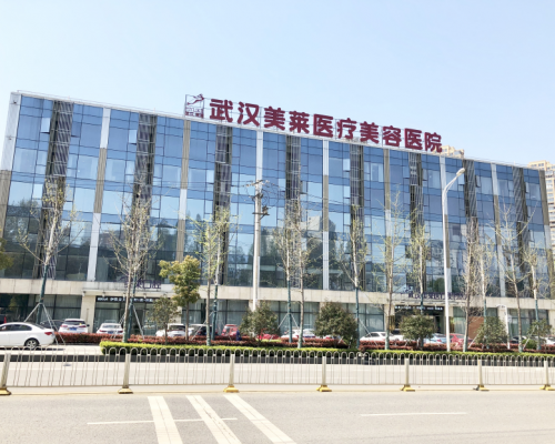 武汉医美机构推荐｜武汉美莱：品质医美，实力稳居行业前列